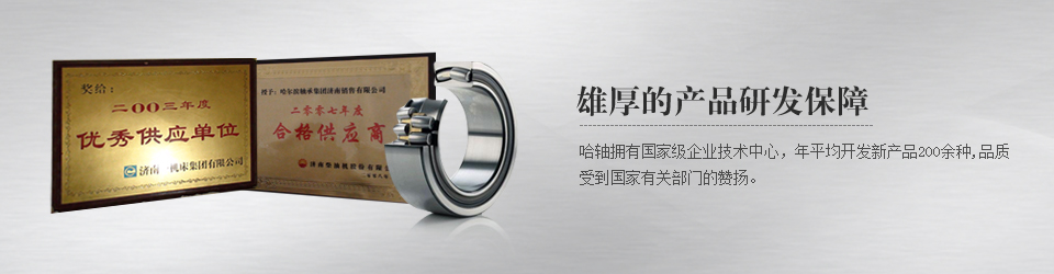 哈軸濟(jì)南銷售有限公司滾動(dòng)軸承，深溝球軸承